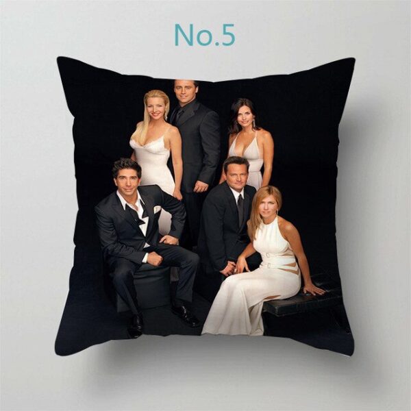 tv friends pillows